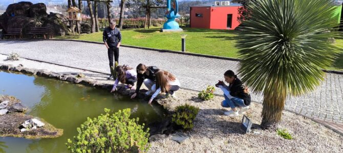 Дан 2. Недеља је… Дан 2. Недеља је…