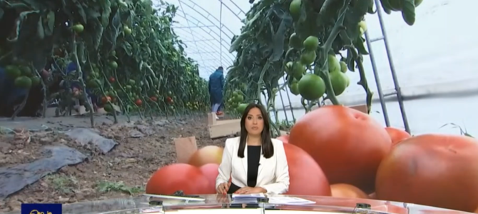 Прилог РТС о органској производњи на нашој школској економији