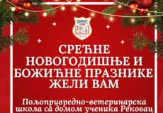 Срећни новогодишњи и божићни празници￼