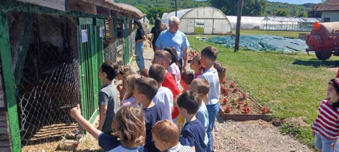 Предшколци посетили наше огледно добро Предшколци посетили наше огледно добро