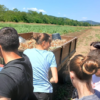 Вредне руке наших ученика: Успешно завршена берба лука!
