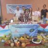 Учешће на сиријади у Кривом виру